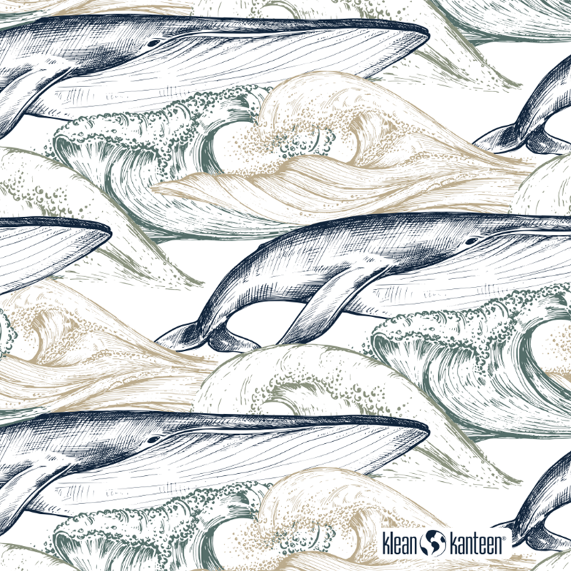 20oz-tkwide-with-twist-cap-ocean-day-e4 20oz_tkwide_bottle_seasonal_ocean_day_whale_artwork_square.png