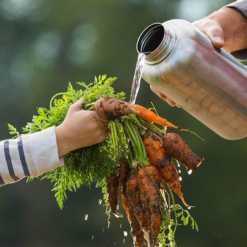 64oz-wide-with-loop-cap-b0 64oz_wide_mouth_bottle_carrots_rinse_square.jpg